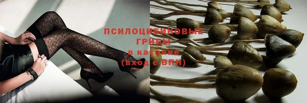 дживик Армянск