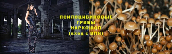 мескалин Арсеньев